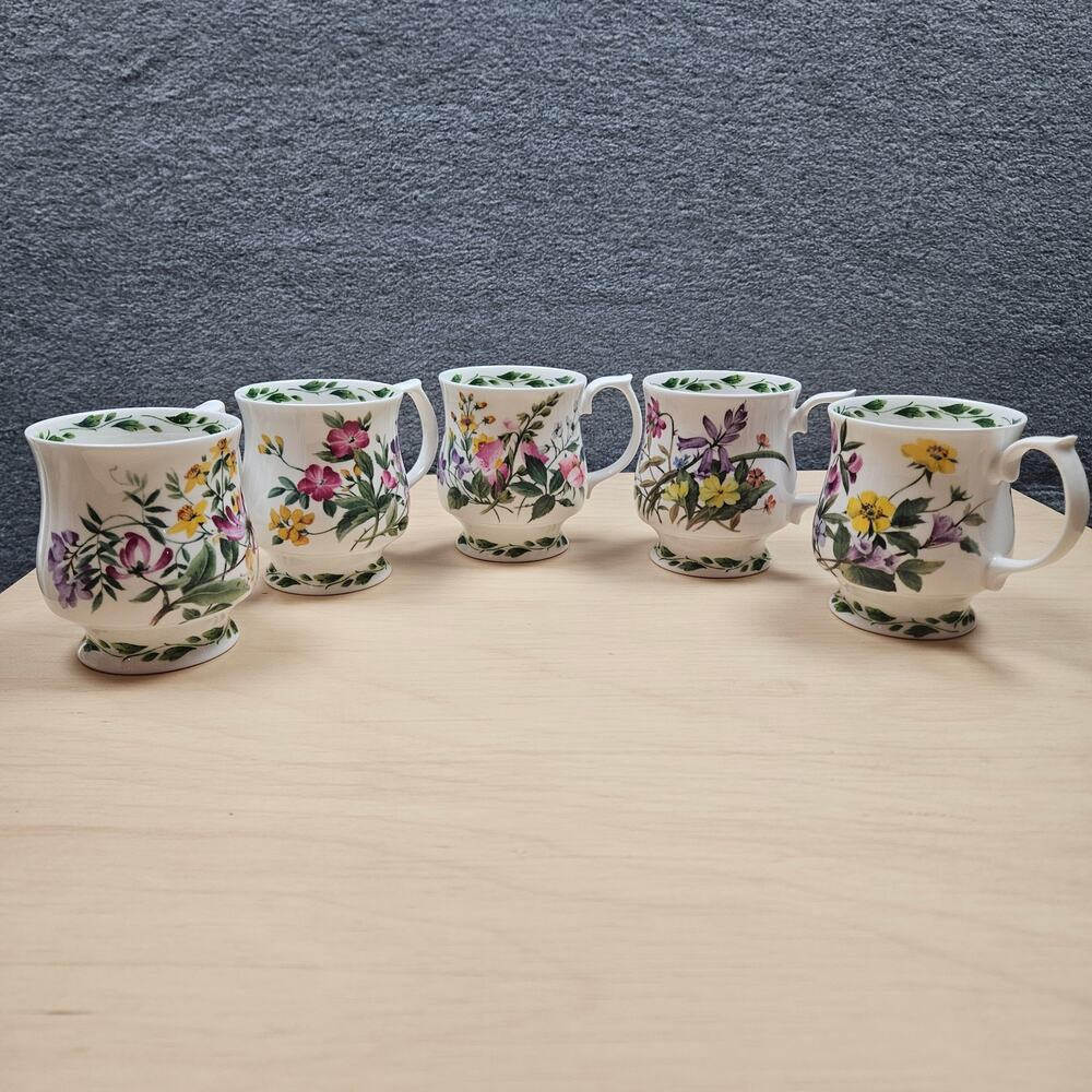 Vintage Queen's RHS Fine Bone China The Garden Footed Mugs Set of 5 England